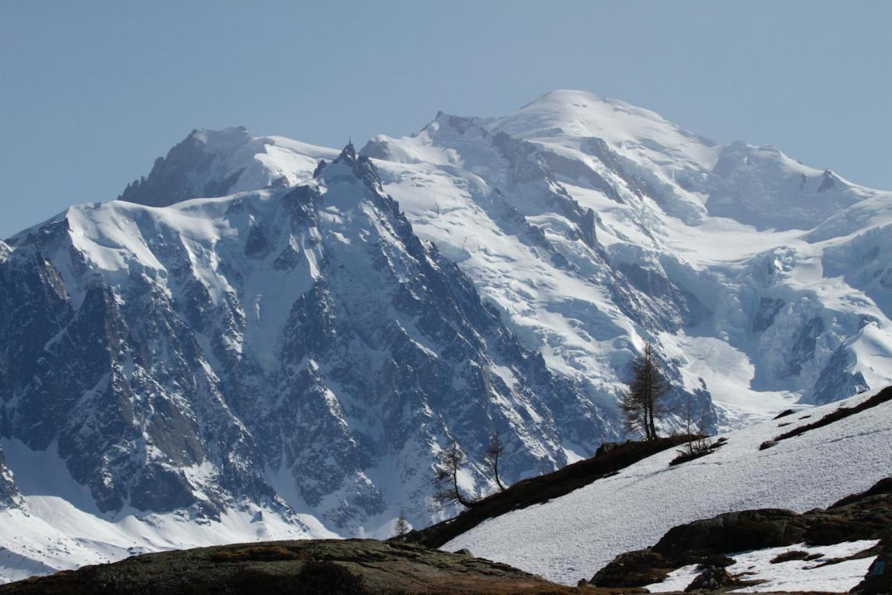 Studio Residence Grands Montets Chamonix Zewnętrze zdjęcie